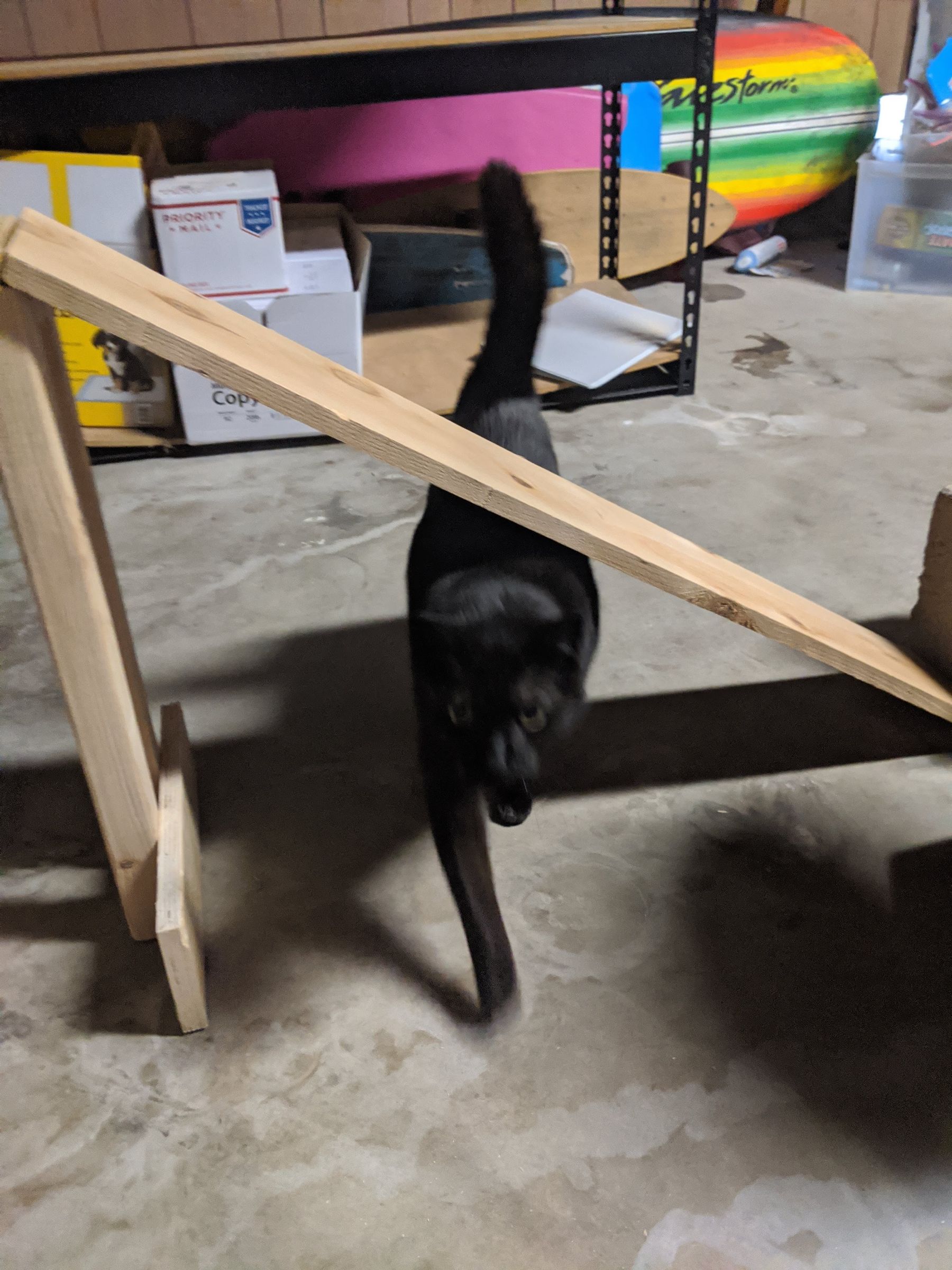 How to Make a Cat Ramp 11 Steps (with Pictures) Instructables