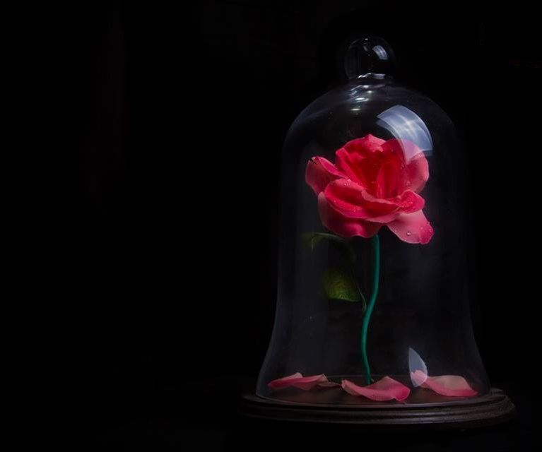 Beauty and the Beast - Beast's Rose Replica