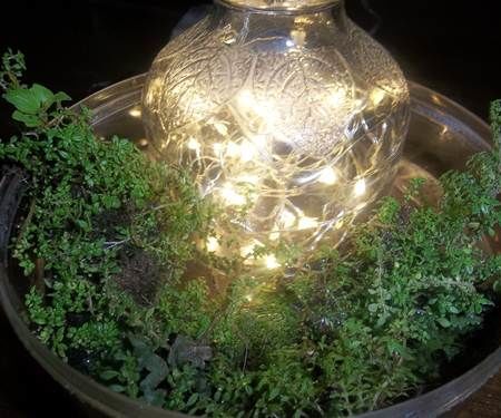 Small Sparkling Garden in Jar