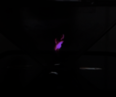 TfCD - Holographic (head) Video on Smartphone 