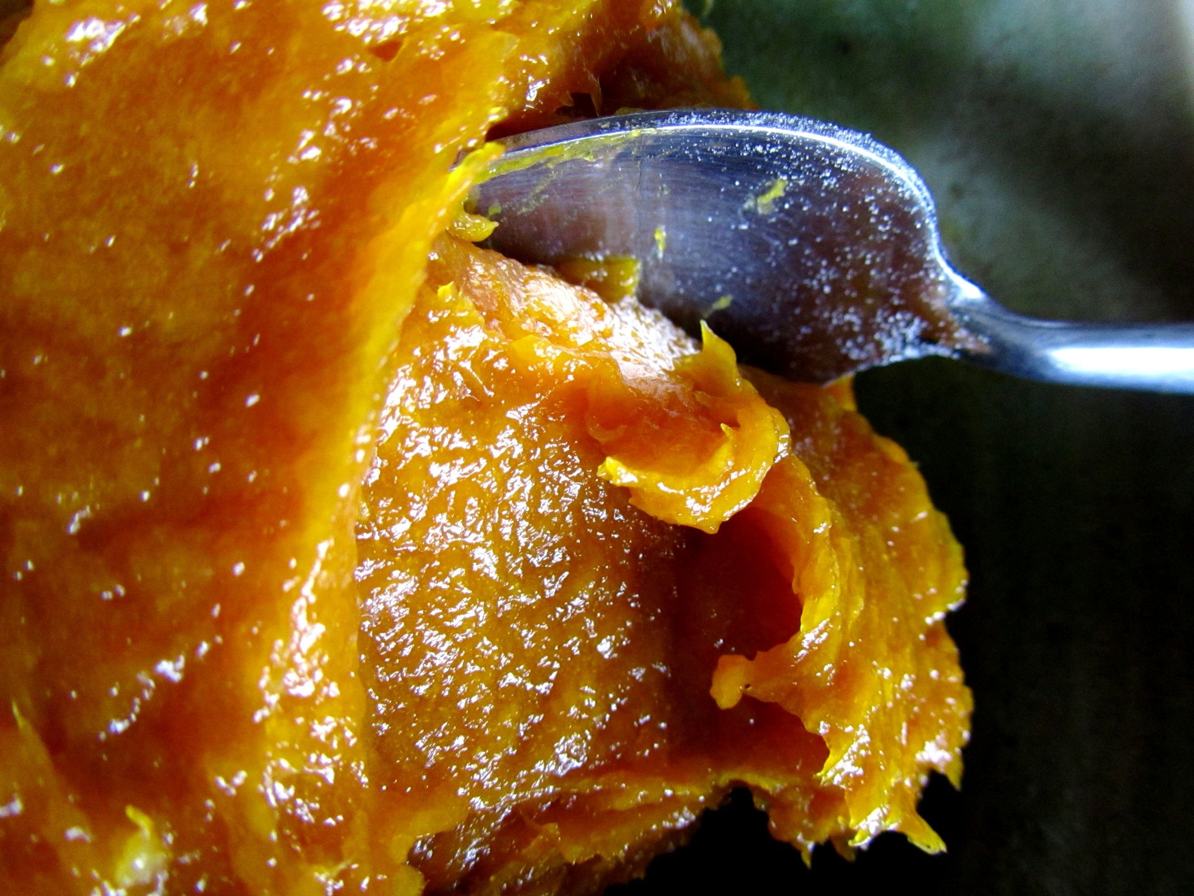 Easy Dried Fruit Puree