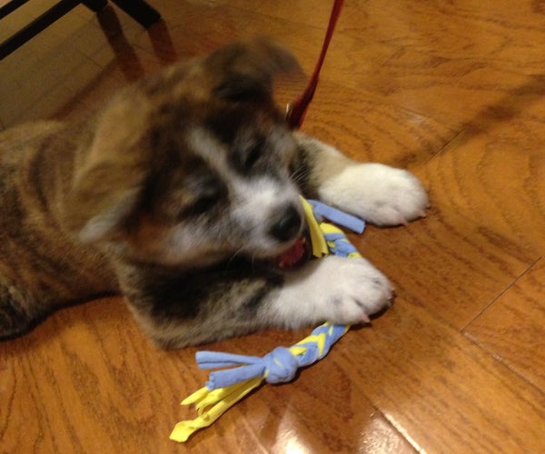 Easy Upcycled Tshirt to Dog Toy