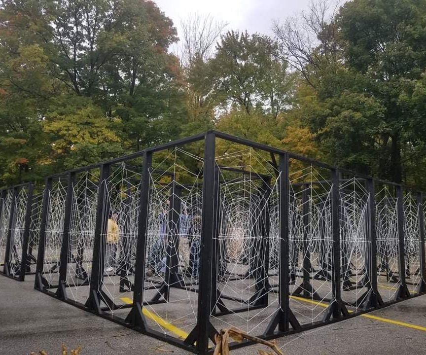 Spider Web Maze