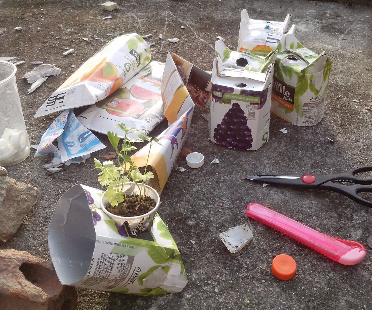 Verticanteiros E Jardinelas