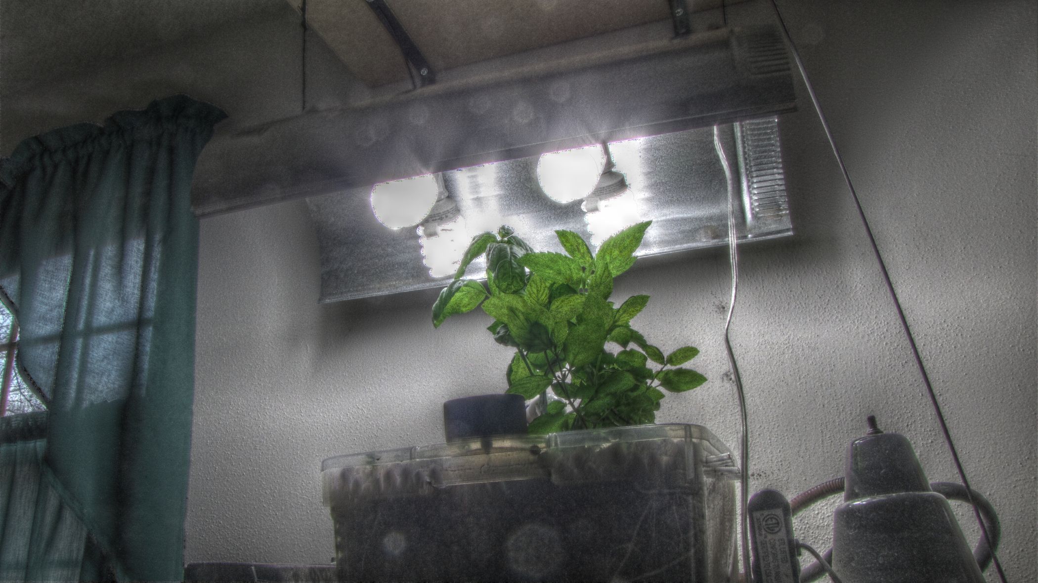Cheap DIY CFL Grow Light Instructables