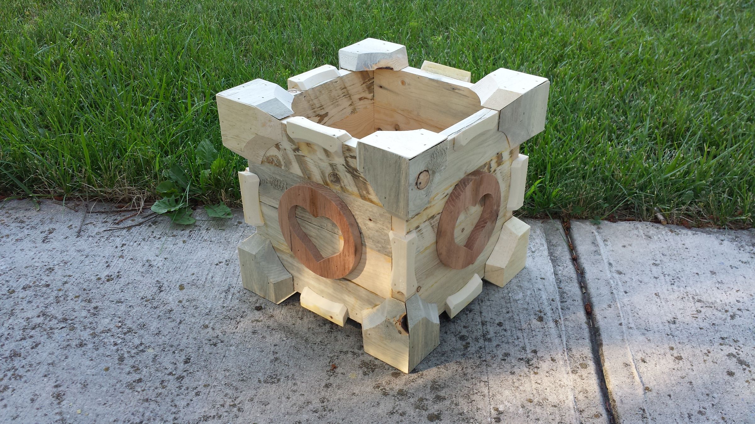 Pallet Companion Cube Container