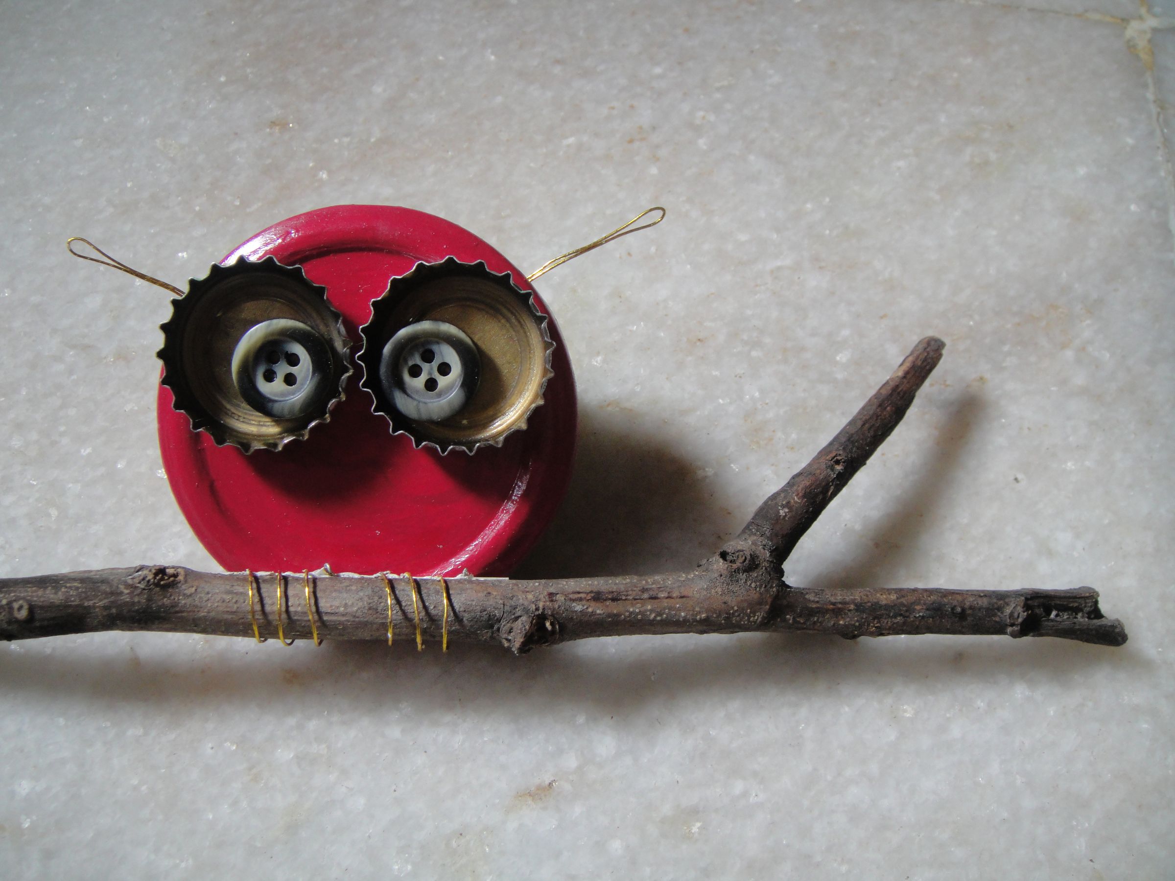 Cute Owl