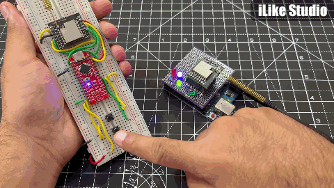 Working and Demonstration: