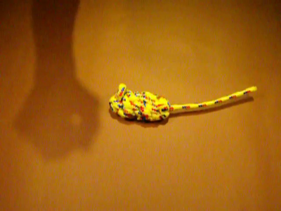 Knotty Mouse Video for Good Cats