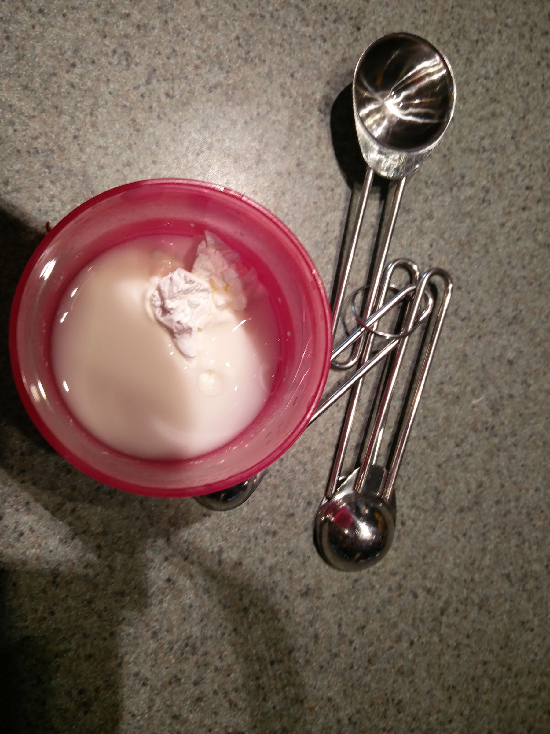 Haskap Berry Cheesecake 6 Steps (with Pictures) Instructables