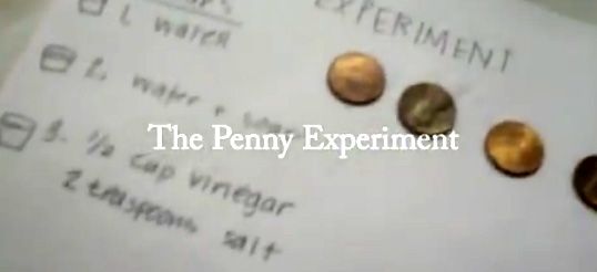 Penny Cleaning Experiment