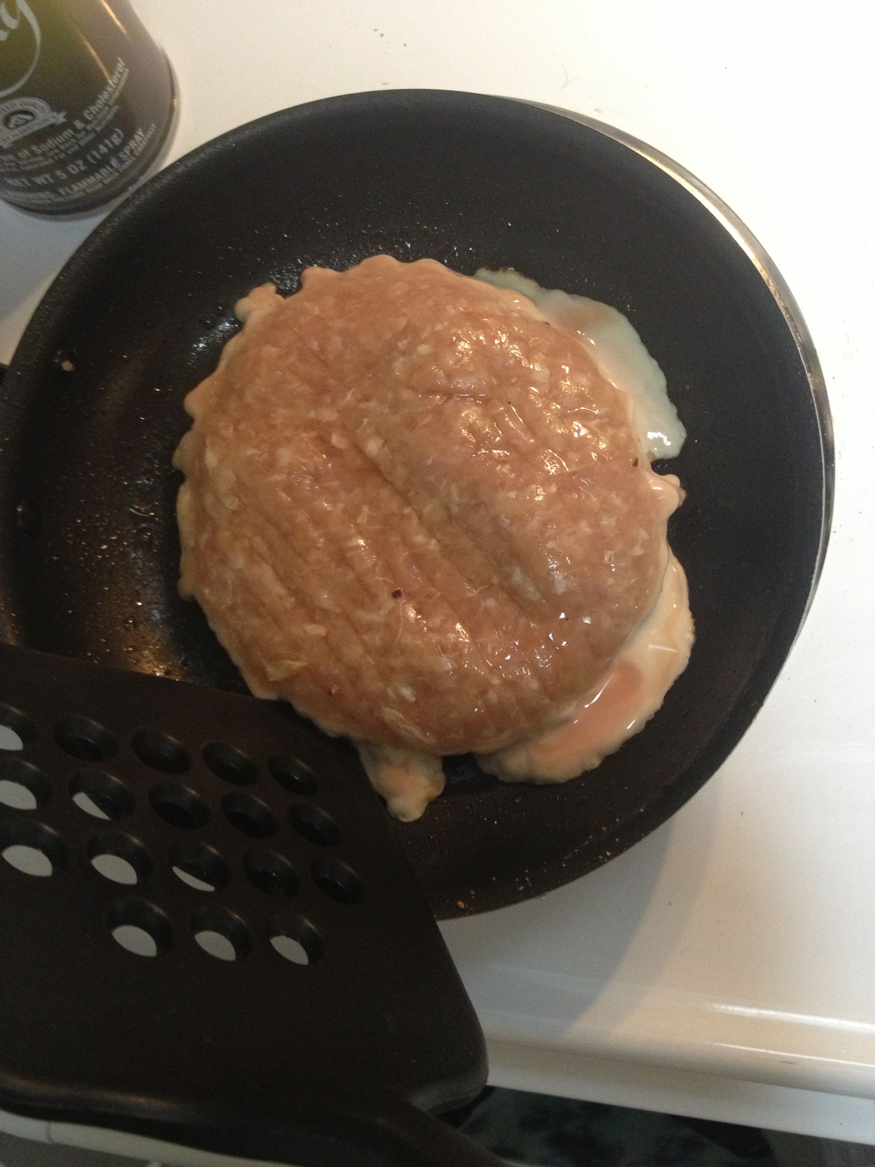 Turkey Burger (LowFat!) 6 Steps Instructables