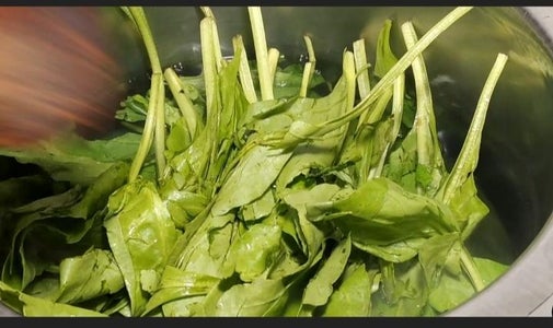 Blanching  of Palak / Spinach 