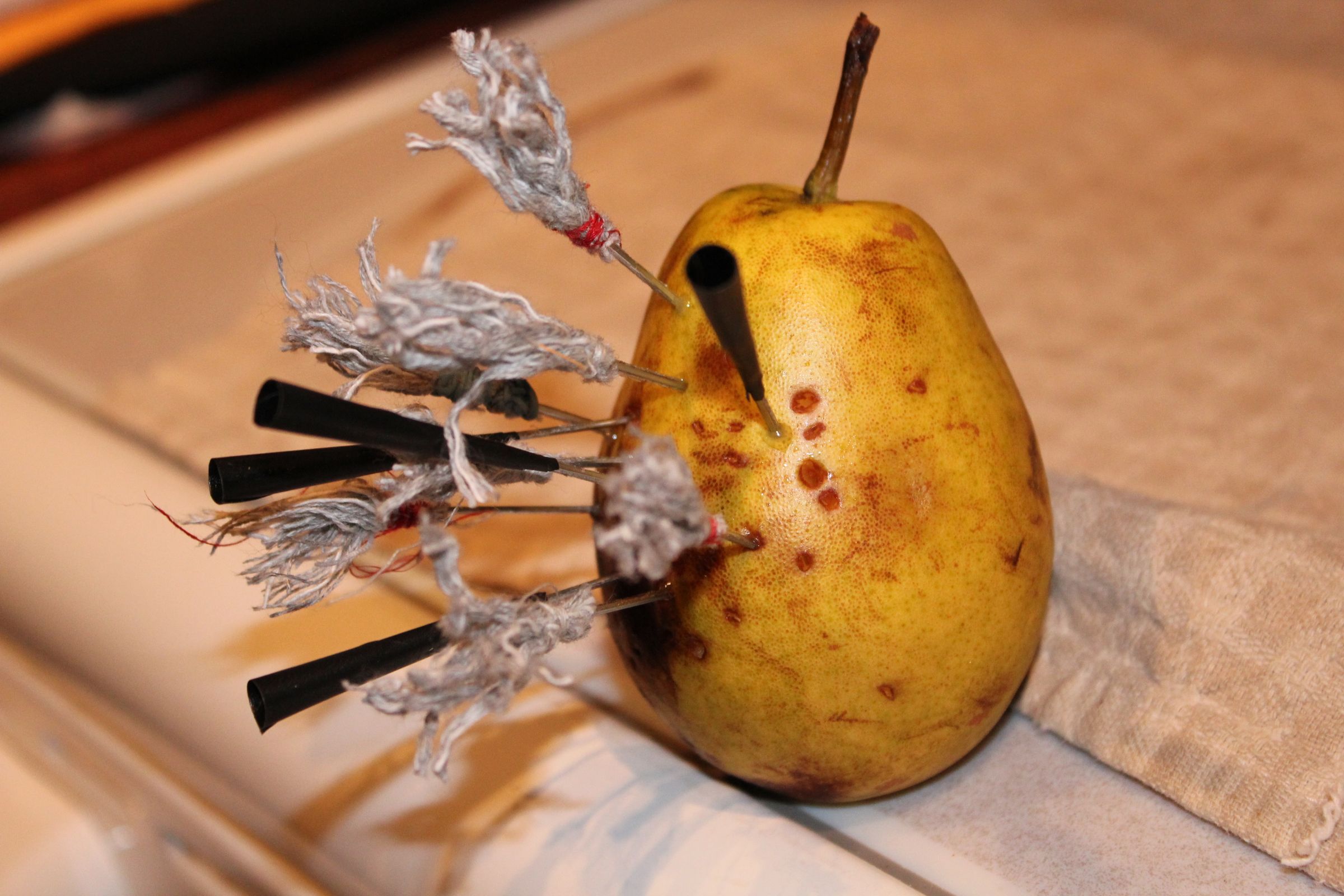 Cheap Blowgun (Deadly)