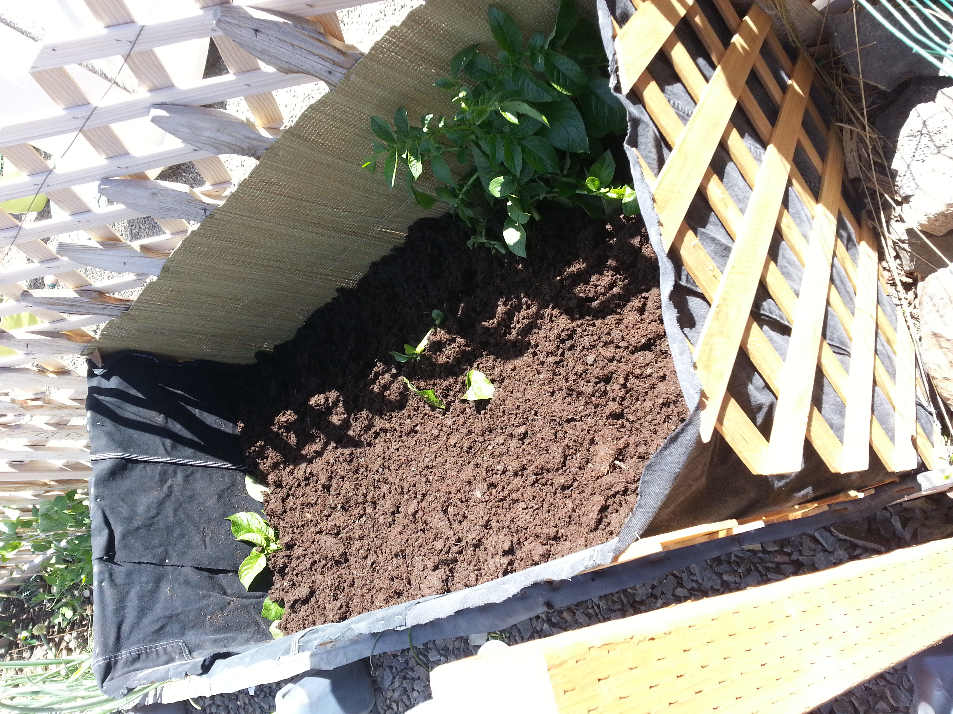 Potato Raised Bed 6 Steps (with Pictures) Instructables