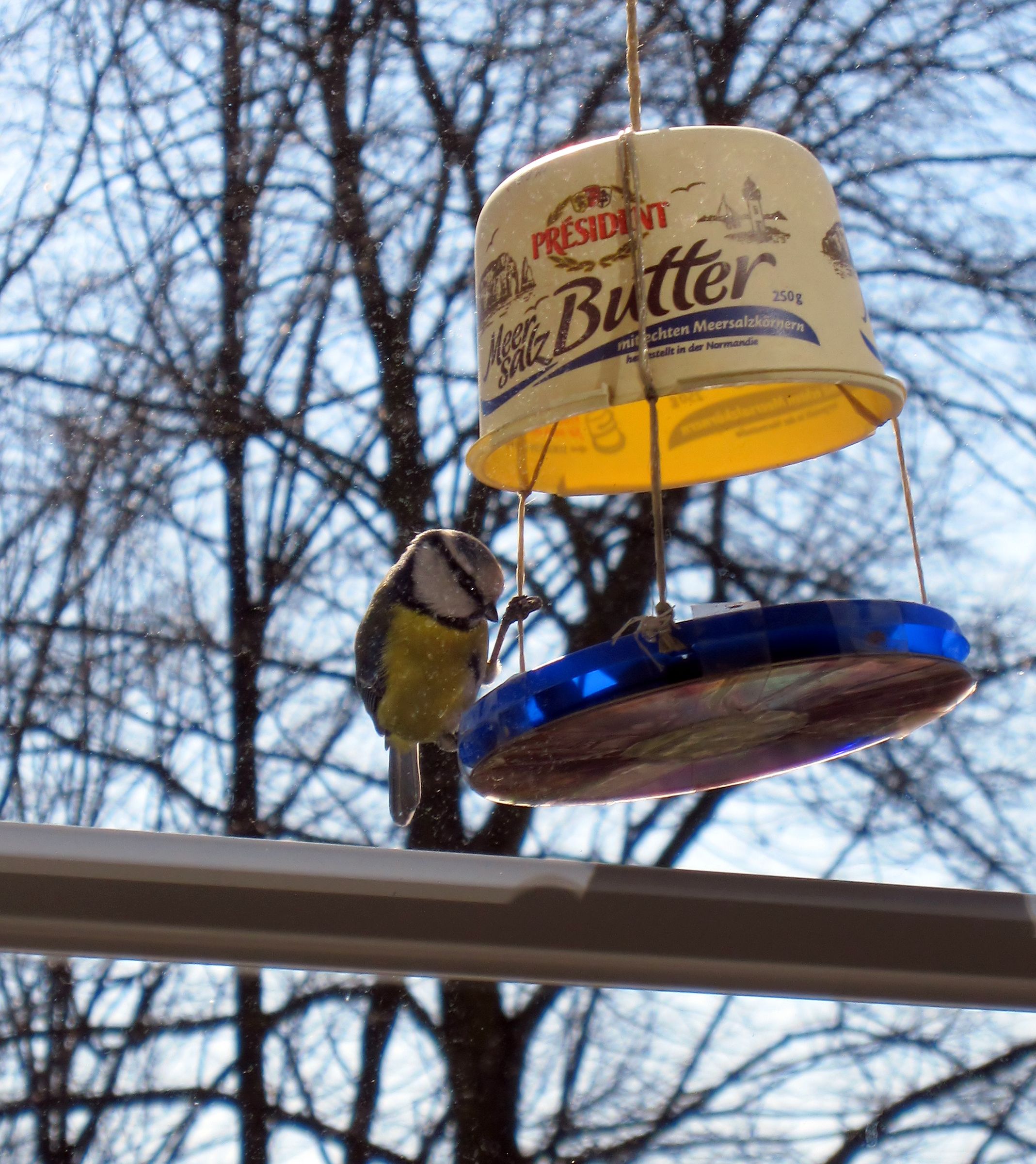 Gourmet-Recycling Bird House