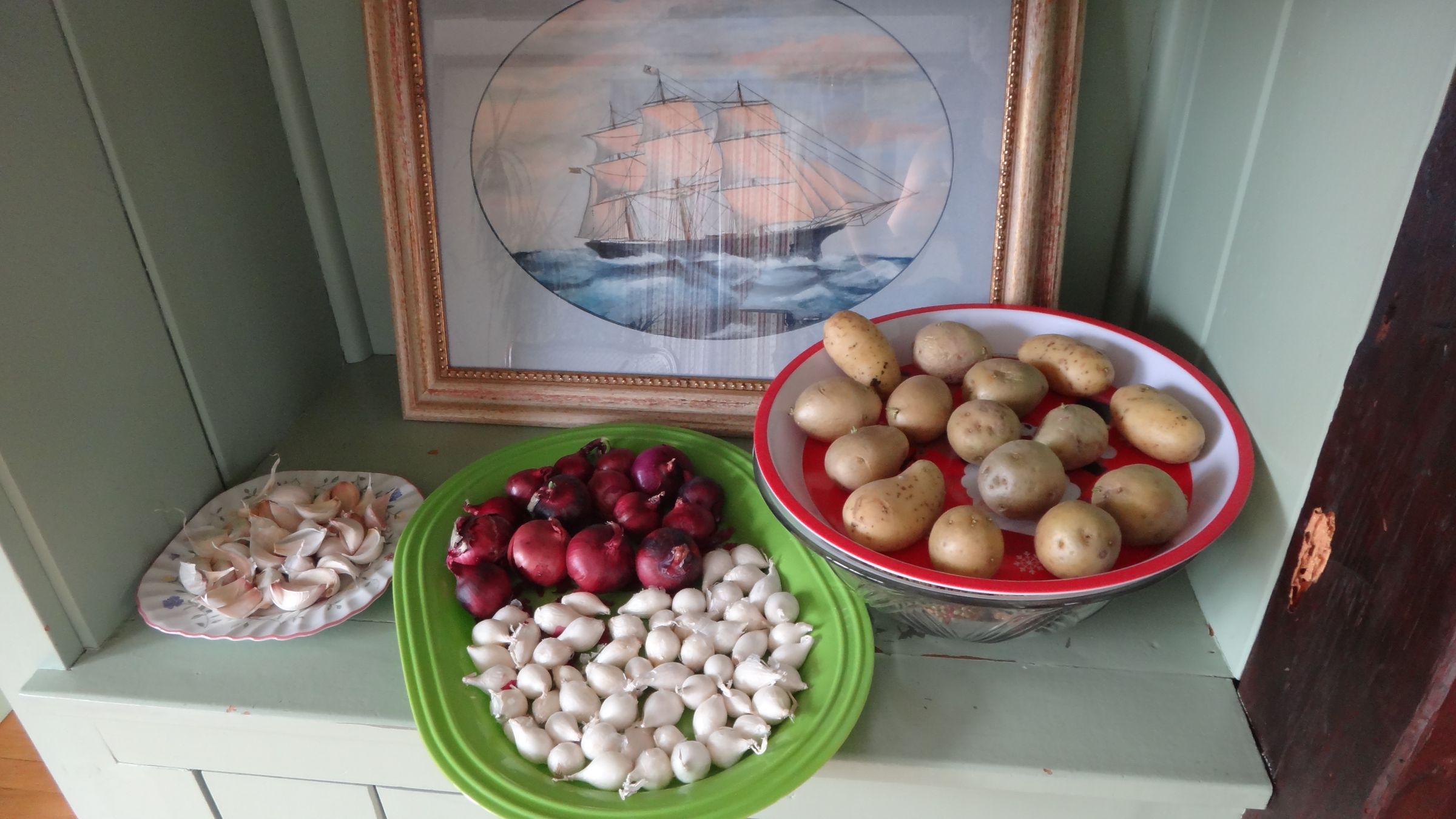 Supermarket Gardening - How to Repurpose Food