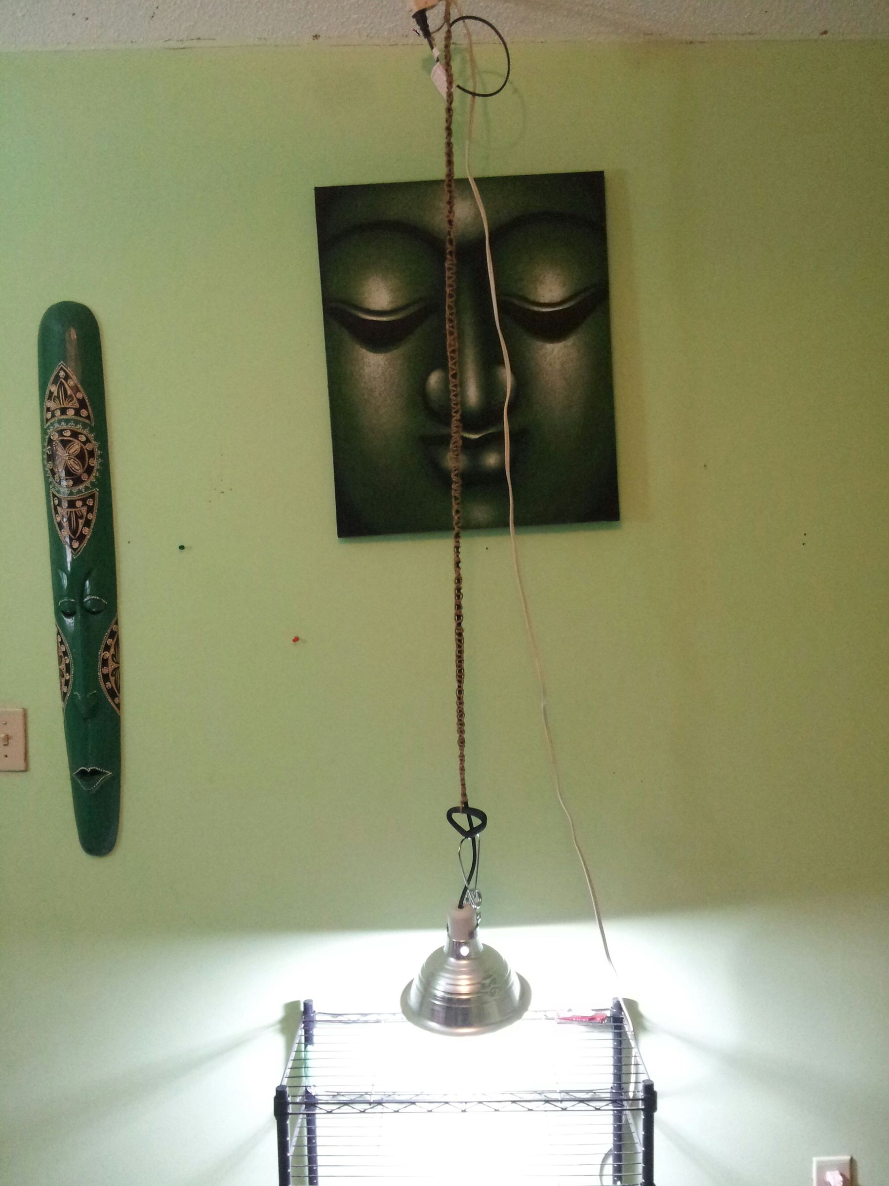 Hanging Paracord Plant Lamp  
