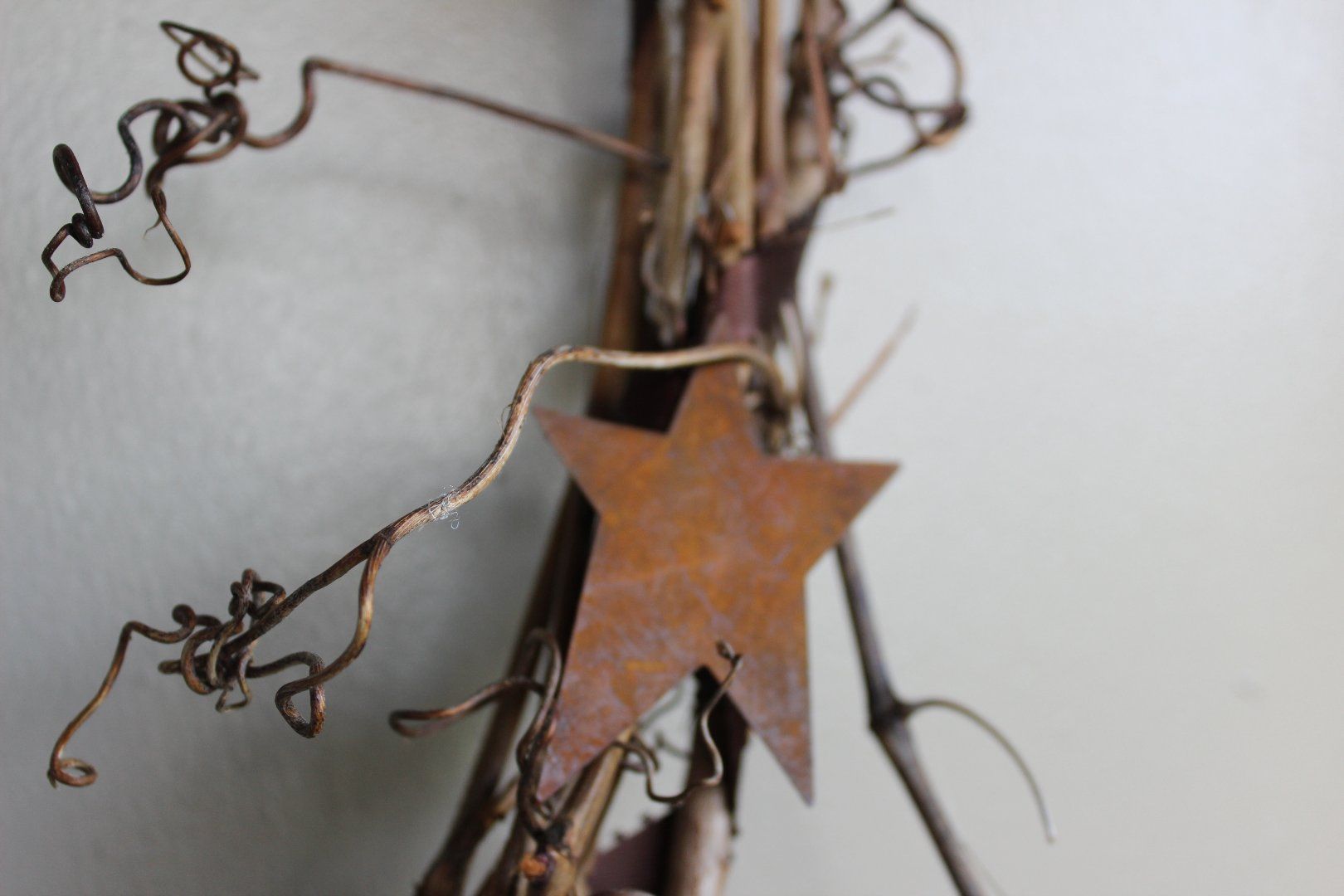 Wild Grape Vine Craft
