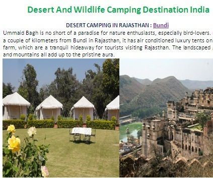 Desert and Wildlife Camping Destination India
