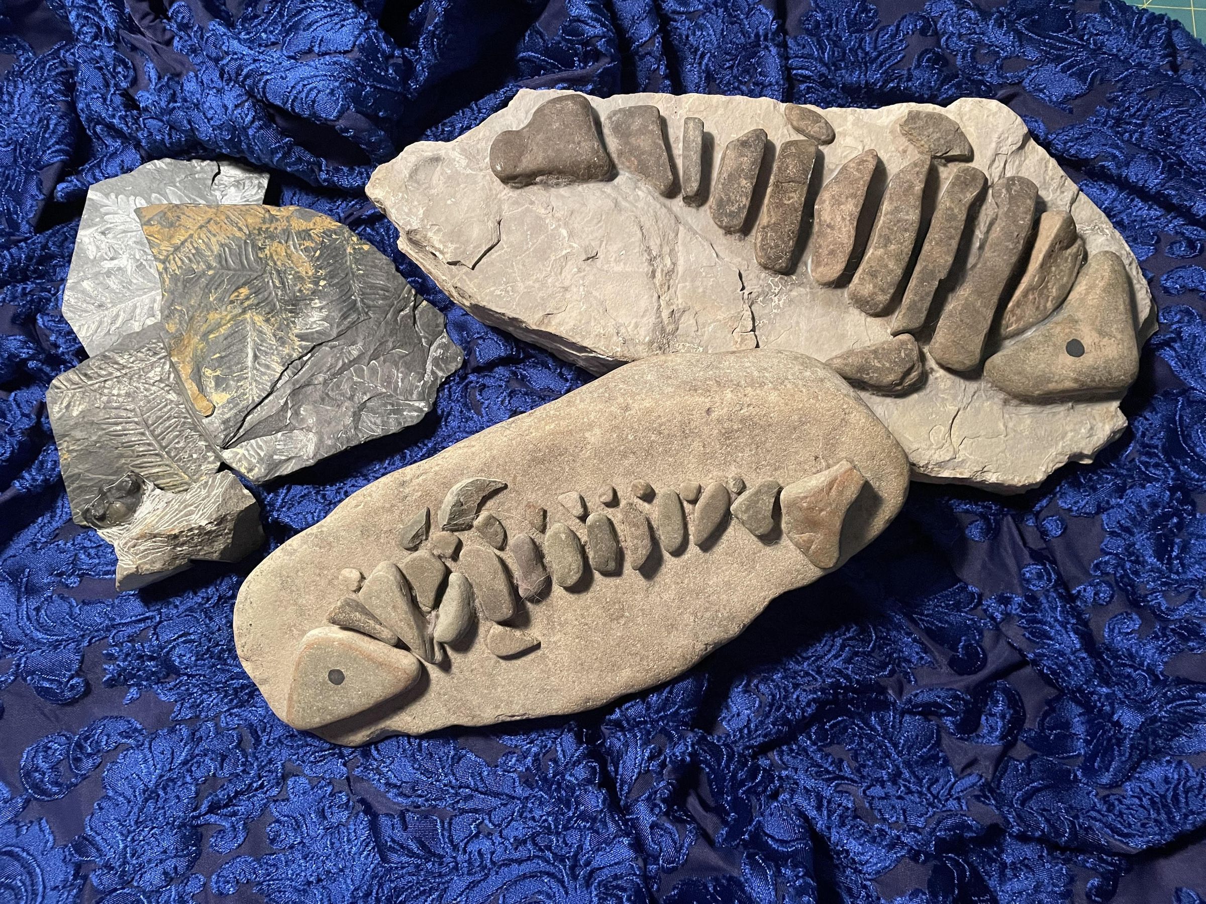 Modern Fossils  for Fun