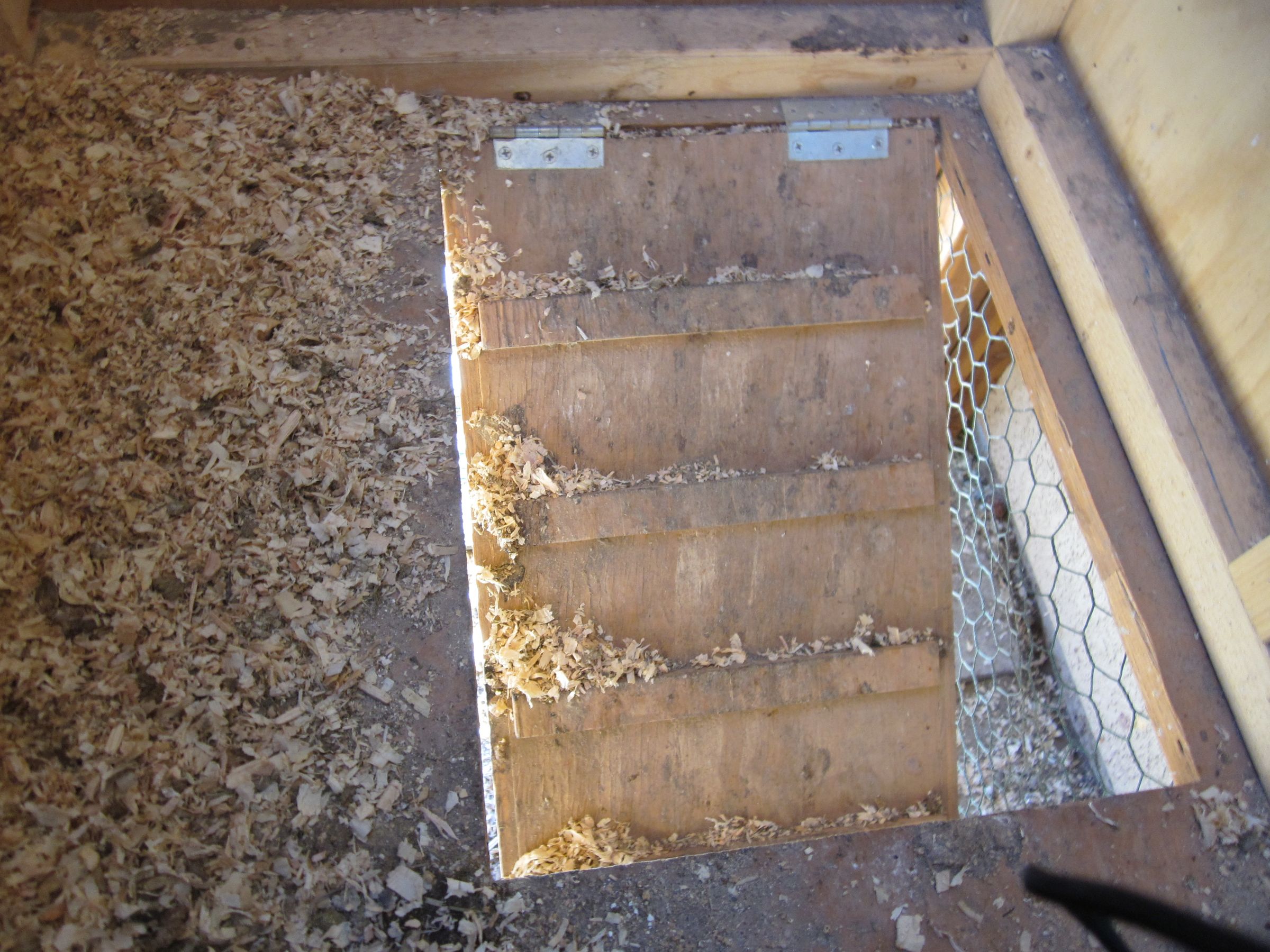 How to Make the Perfect Chicken Coop for Three Chickens! 4 Steps