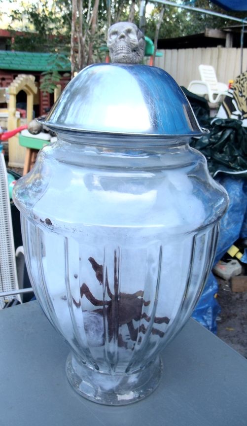 Glowing Apothecary  Jar of Spiders