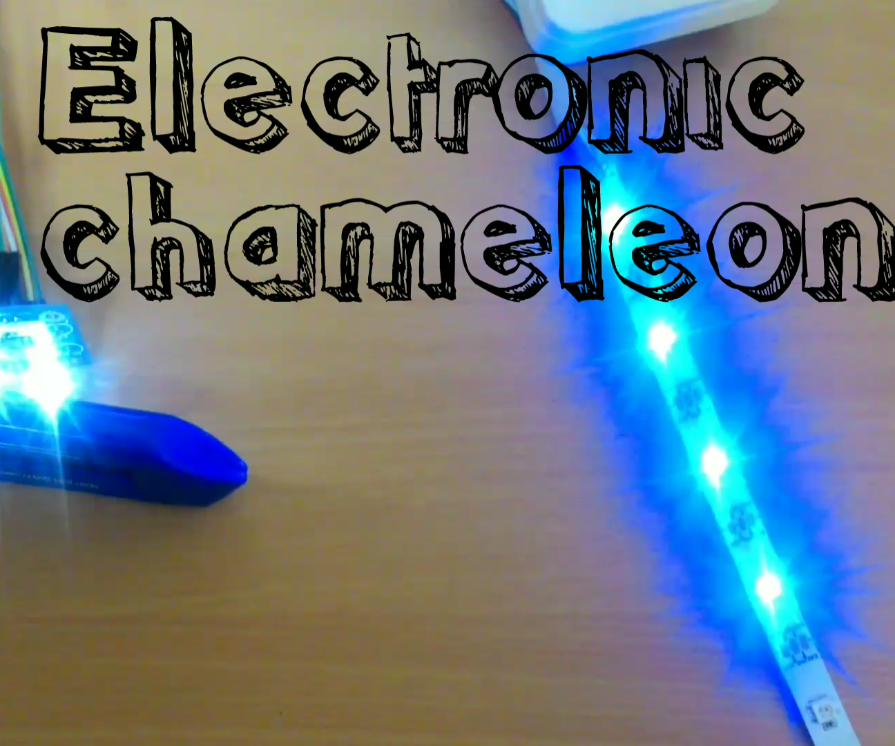 Electronic Chameleon