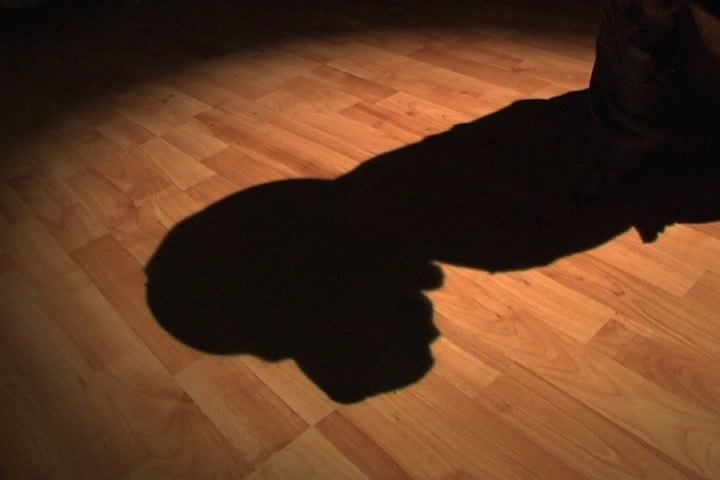 Make a Gurilla Spotlight
