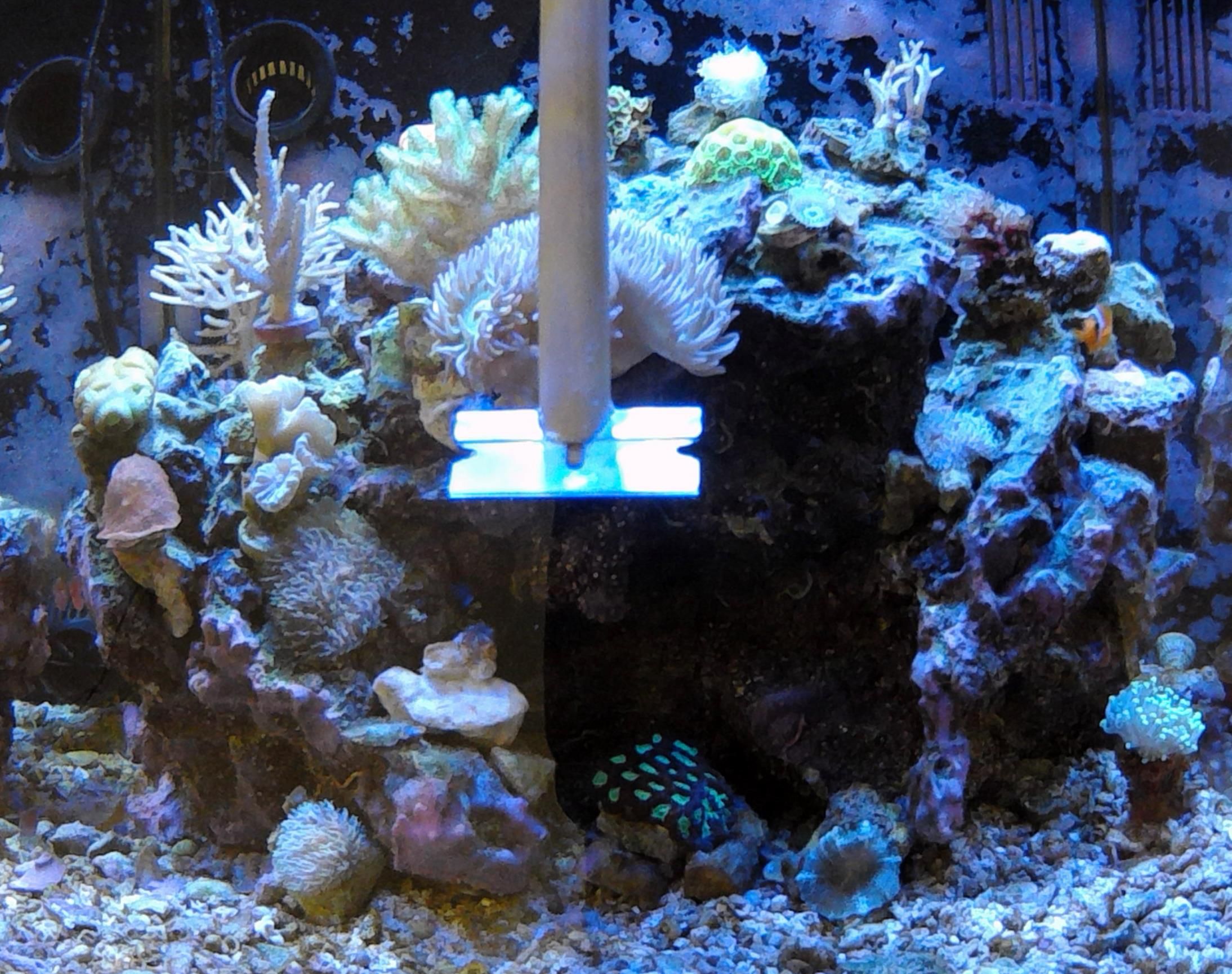 Aquarium Scraper for Stubborn Algae 8 Steps Instructables