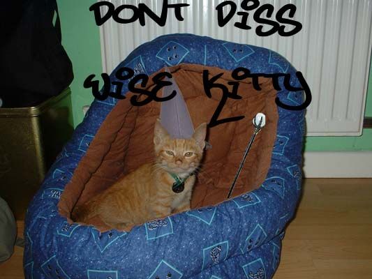 Instructables profile picture for @disaster