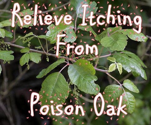 Relieve Itching From Poison Oak