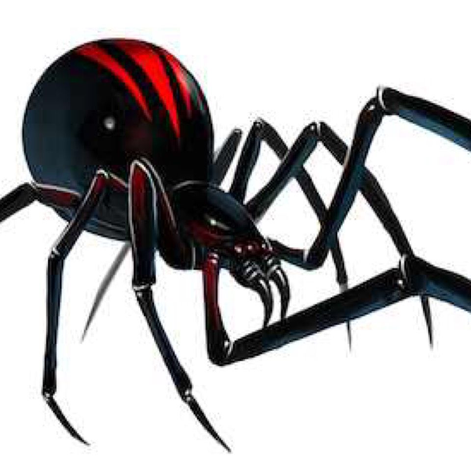 Black Widow Woodworks