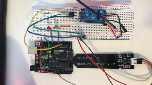Automatic Plant Irrigation System - Self Watering Plant System