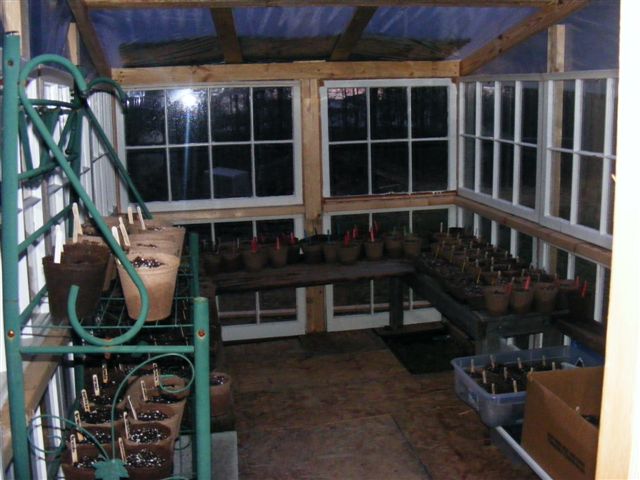 Greenhouse Made From Recycled Windows