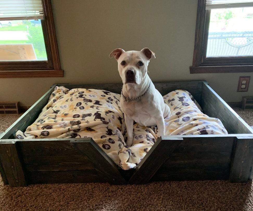 Wooden Dog Bed 