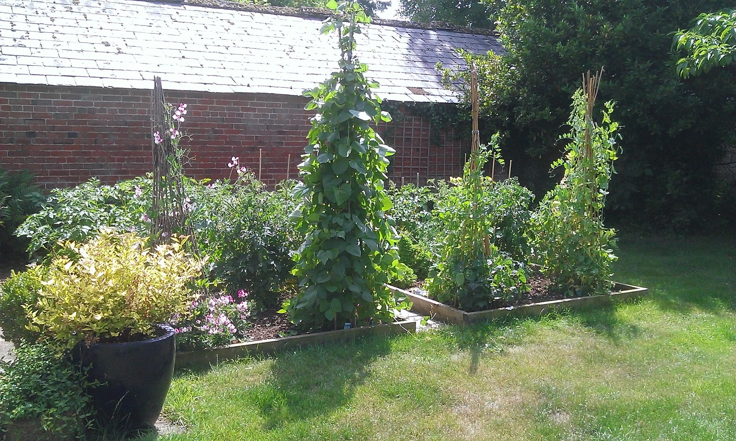 Vegetable Patch 6 Steps (with Pictures) Instructables