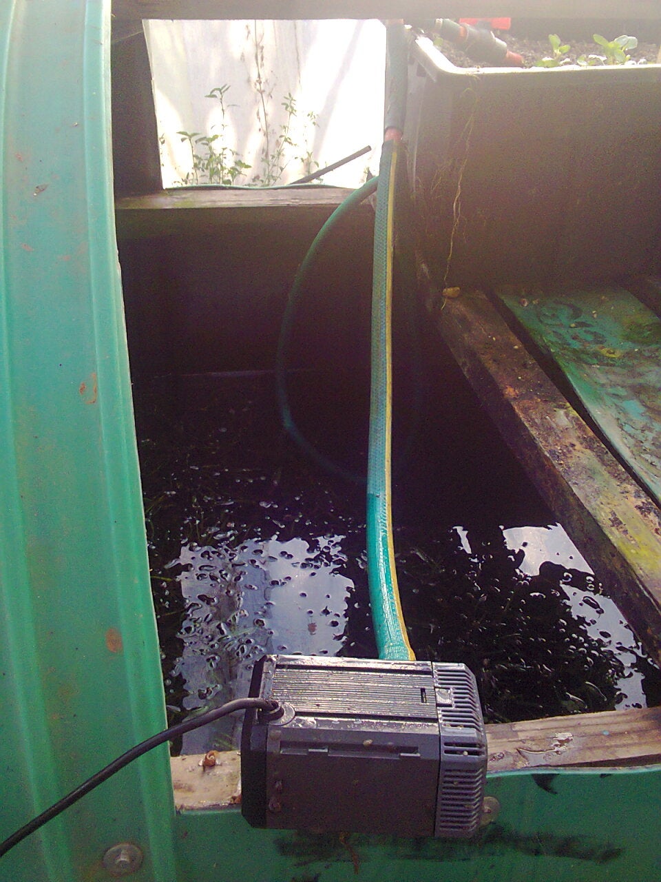 Converting the Fish Tank to an Aquaponic System