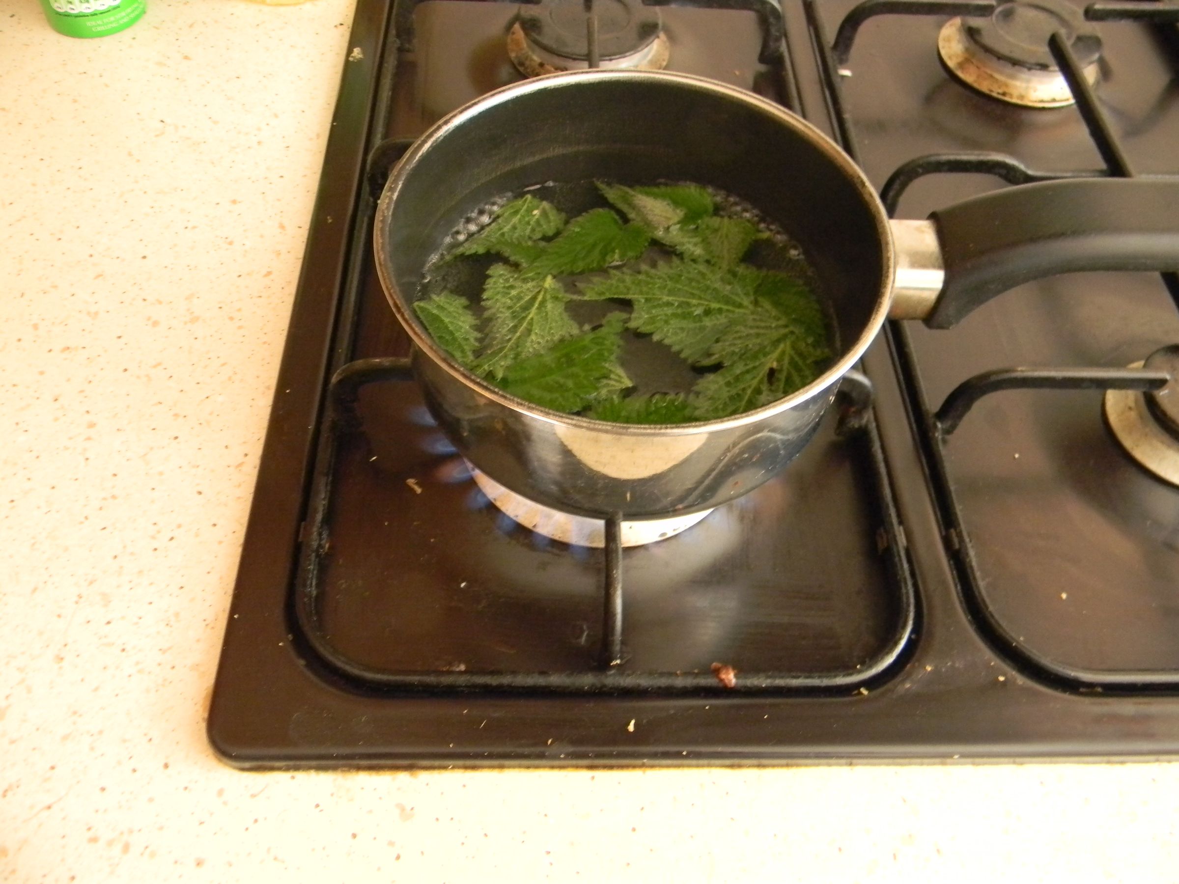Nettle Omelette