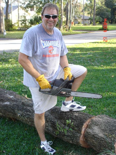 How to Cut Down a Tree