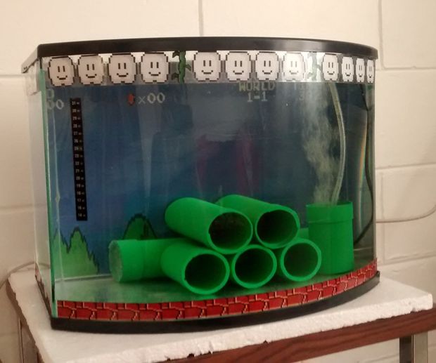 buy mario fish tank accessories Decorations, Small for Aquarium Decor Arrange each feature for the perfect look and display your creation in the home or workplace for all to enjoy.This home decor aquarium comes with fun functions Making A Kirby Themed Fish