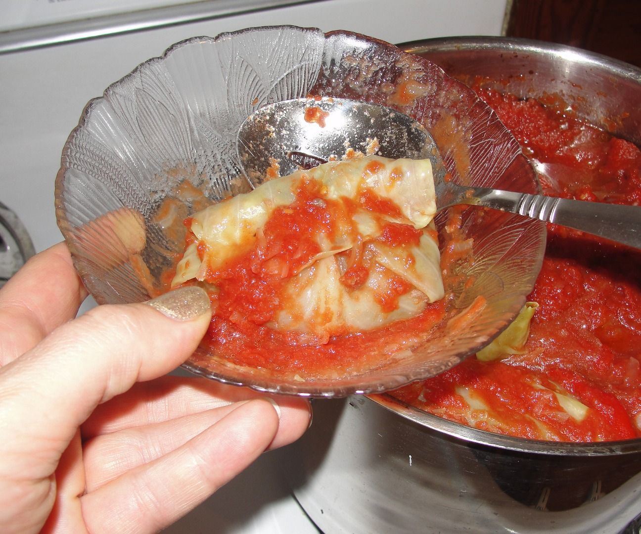 Polish-style Cabbage Rolls 