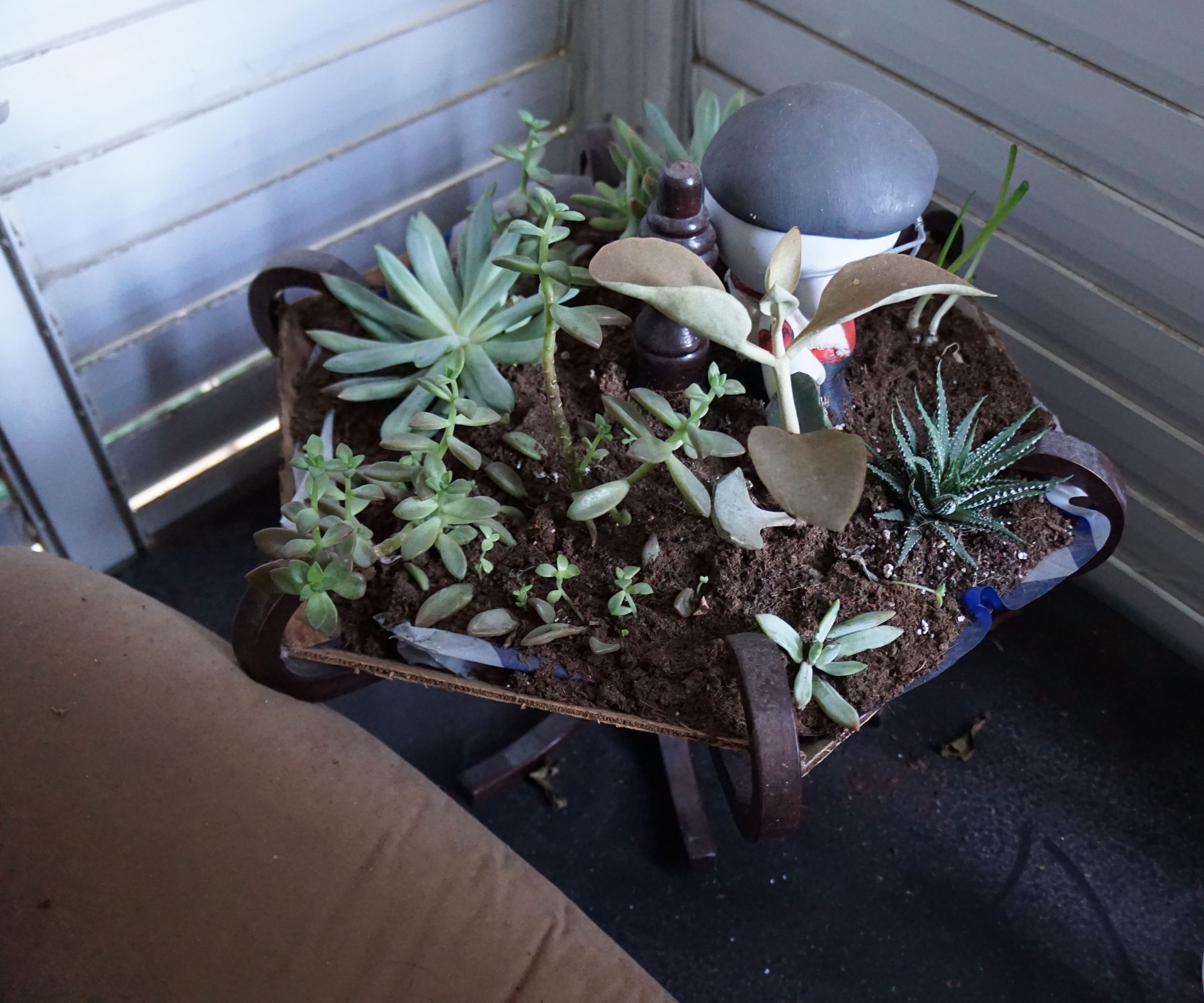 Coat Rack to Cactus Garden 