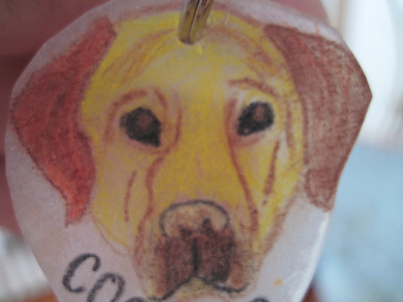 Pet Tags 4 Steps Instructables pet-tags-4-steps-instructables