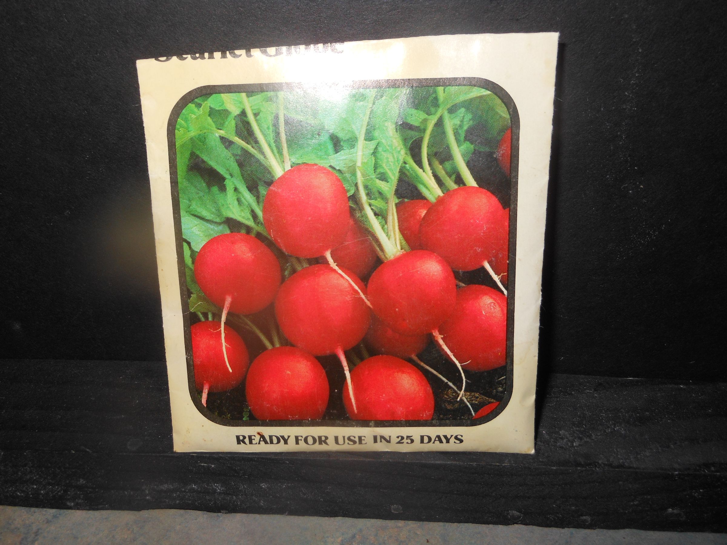 How to Evenly Space Your Small Garden Seeds