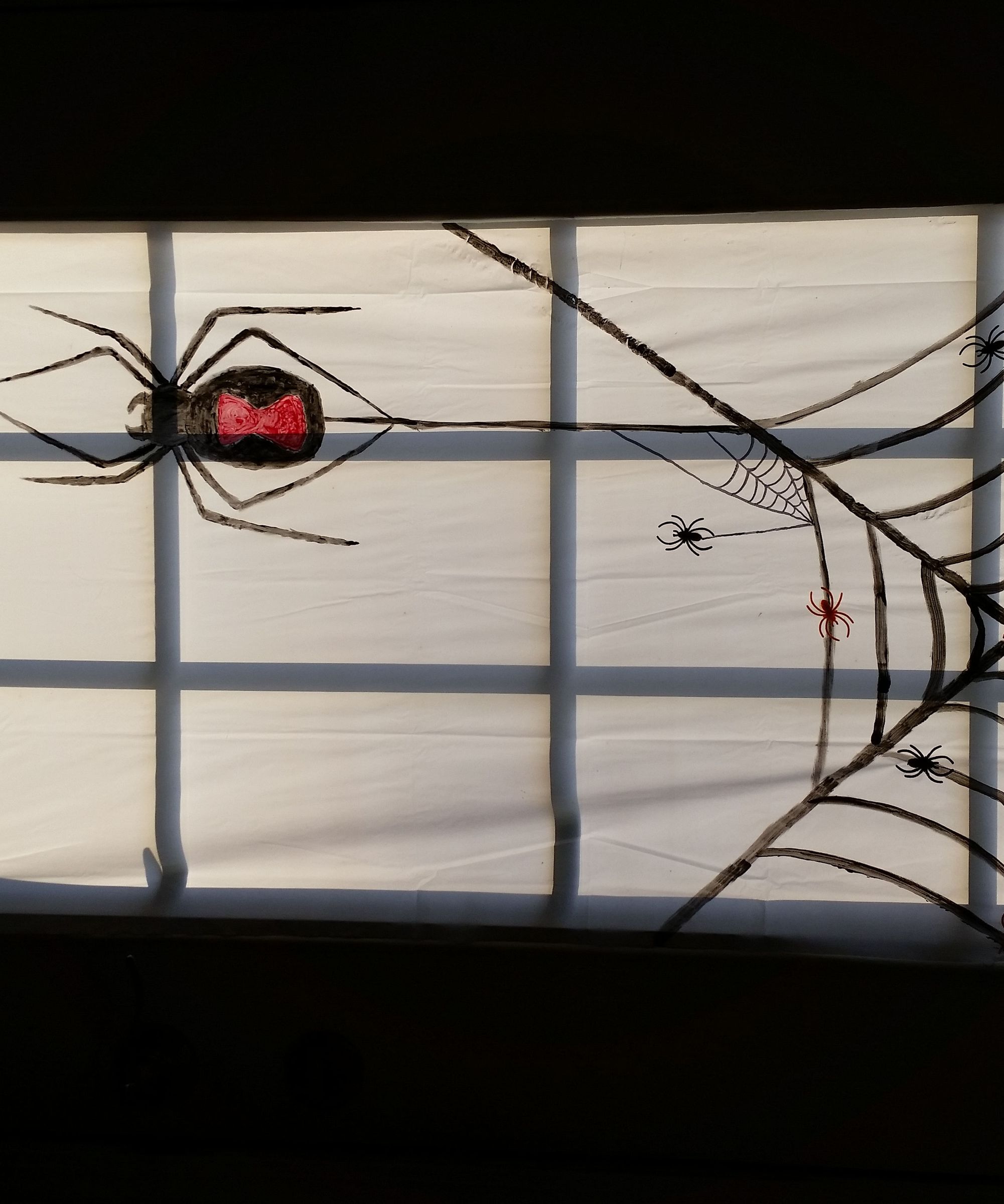 Spiderweb Door 