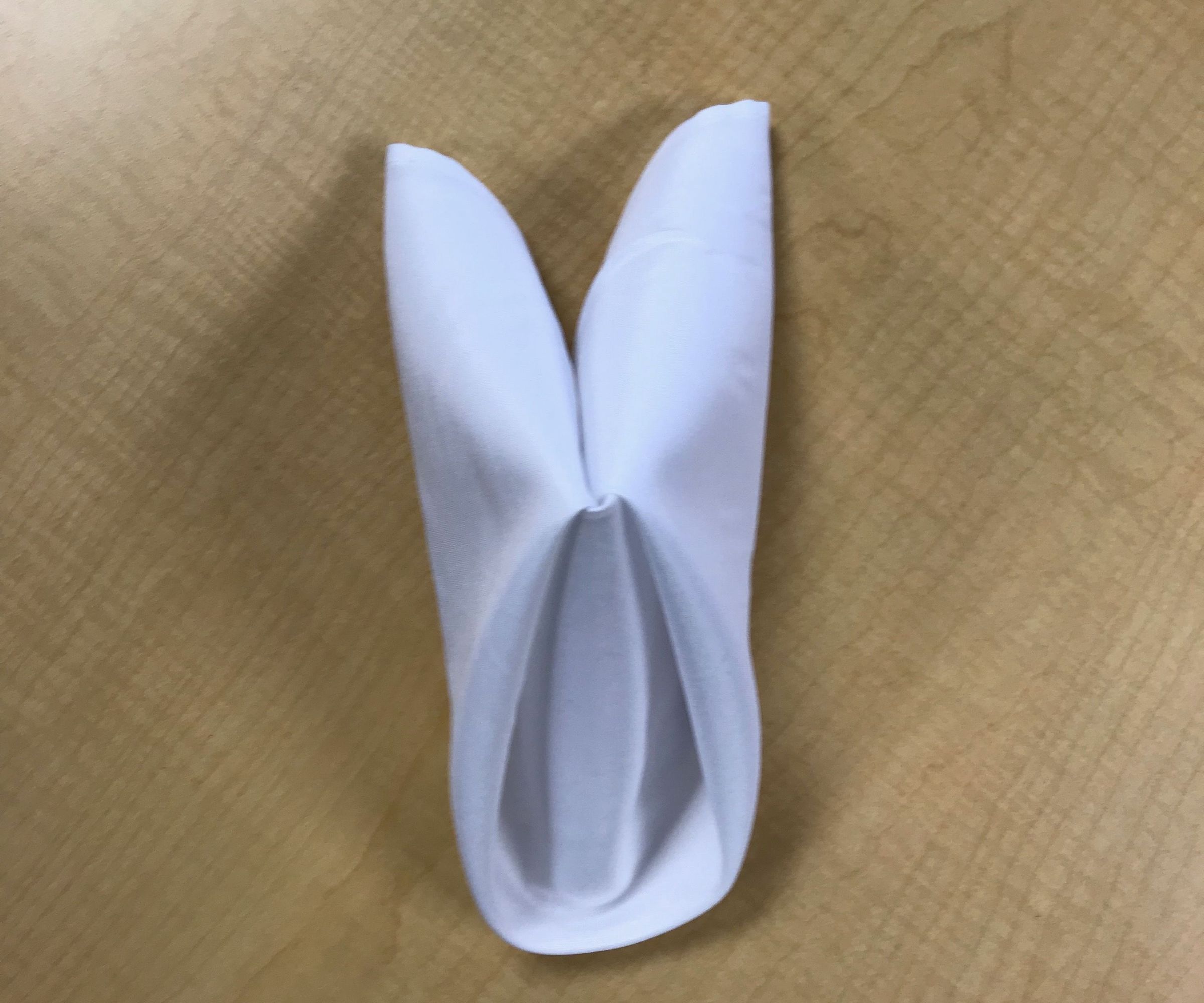 Fancy Dinner Napkins