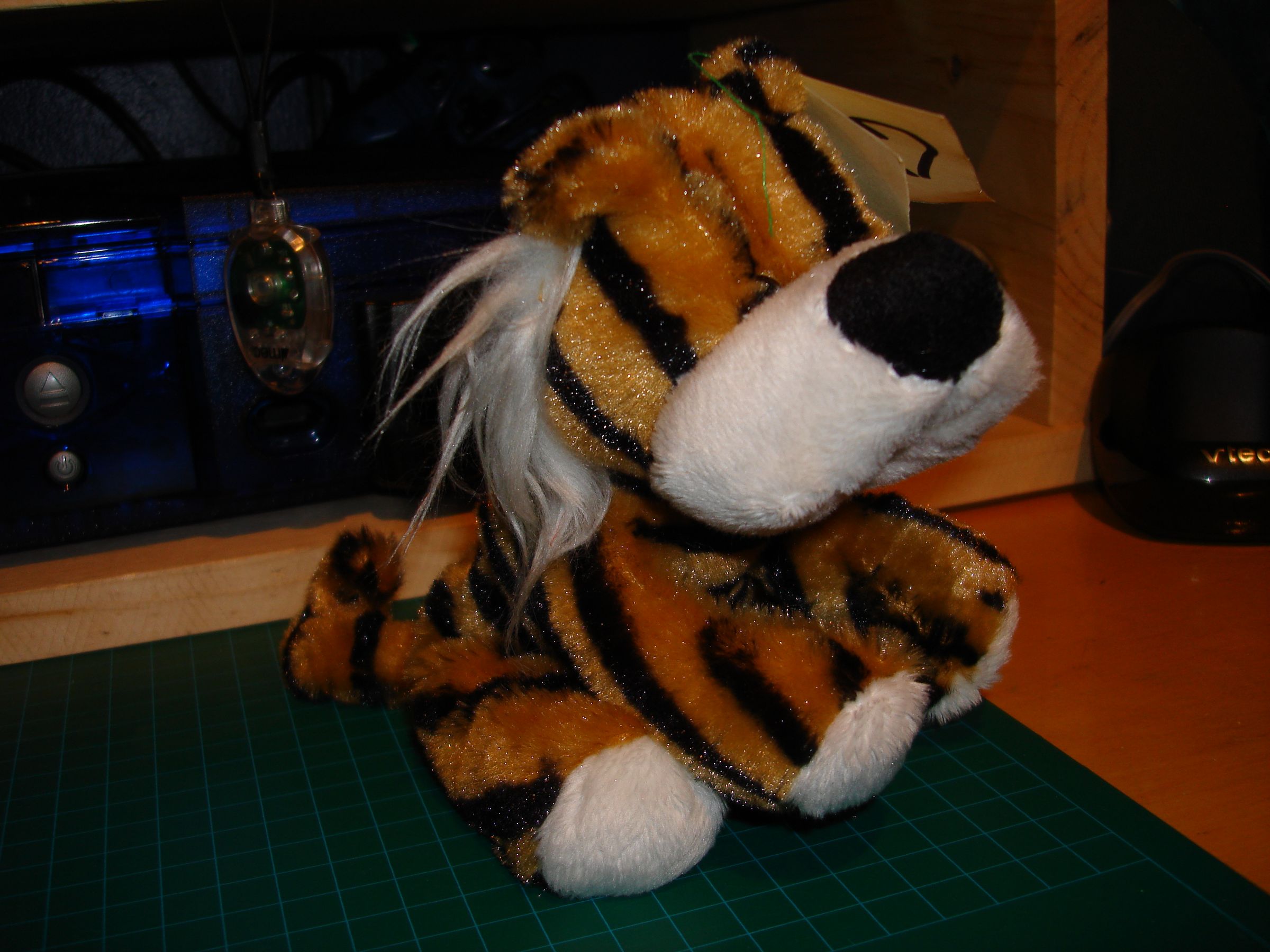 Valentine Tiger: Show Some Love!
