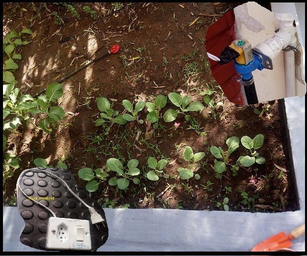  ESP8266 - Garden Irrigation With Timer and Remote Control Via Internet / ESP8266