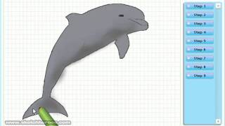 How to Draw a Dolphin